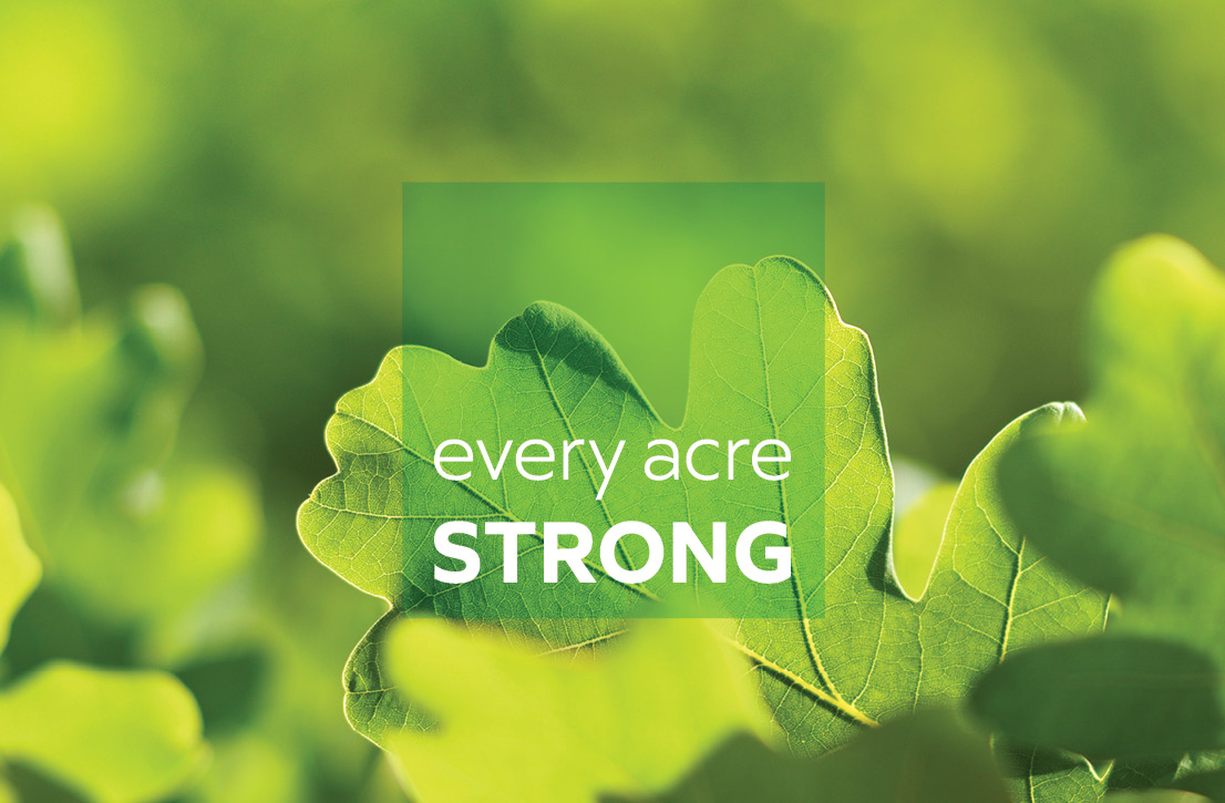 photo - Every Acre Strong endowment campaign theme and visual identity