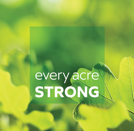 Lake County Forest Preserve Every Acre Strong campaign logotype